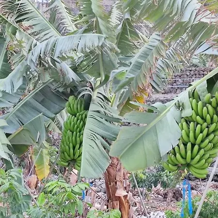 Independent House In Rural Setting Appartement