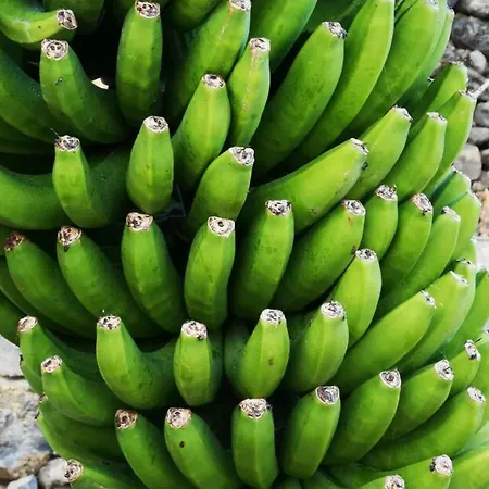 Independent House In Rural Setting アパート