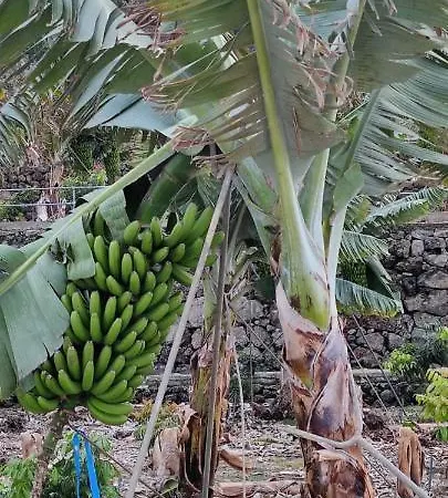 アパート Independent House In Rural Setting ラ・オロタバ