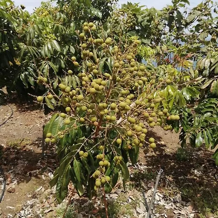 Independent House In Rural Setting アパート